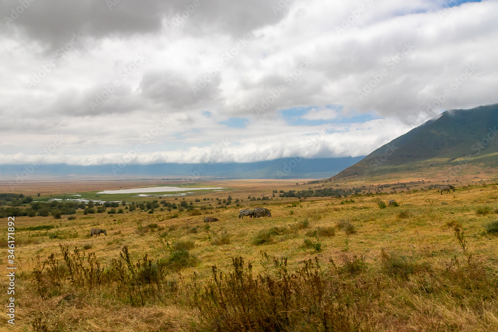 タンザニア・ンゴロンゴロの山とクレーター内にいるシマウマの群れ