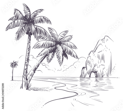 Palm tree landscape. Sketch tropical palms ocean coast, exotic island hawaii natura summer vacation poster hand drawn vector background