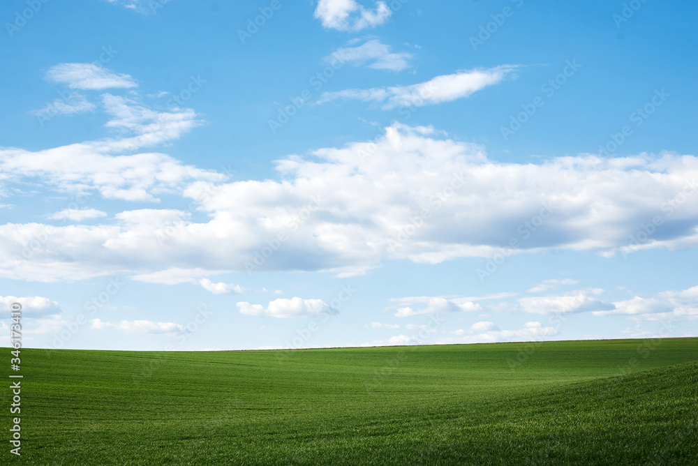 Beautiful field landscape. Countryside village rural natural background at sunny weather in spring summer. Green grass and blue sky with clouds. Nature protection concept.