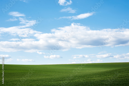 Beautiful field landscape. Countryside village rural natural background at sunny weather in spring summer. Green grass and blue sky with clouds. Nature protection concept.