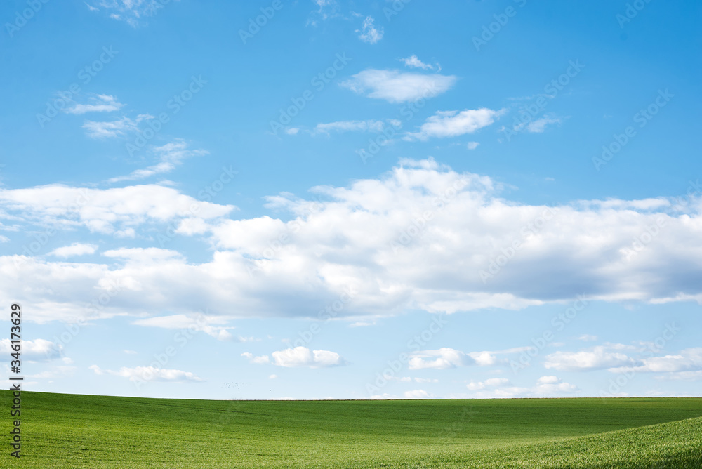 Fototapeta premium Beautiful field landscape. Countryside village rural natural background at sunny weather in spring summer. Green grass and blue sky with clouds. Nature protection concept.