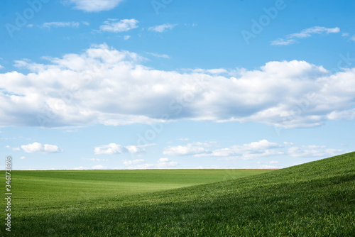 Beautiful field landscape. Countryside village rural natural background at sunny weather in spring summer. Green grass and blue sky with clouds. Nature protection concept. © Natalia