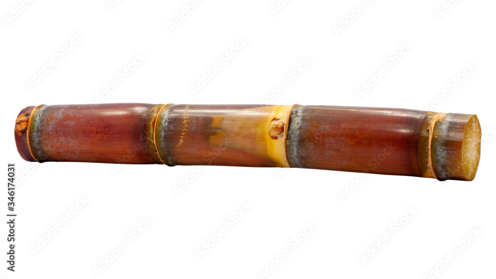 sugarcane isolated on white background sugarcane isolated on white background