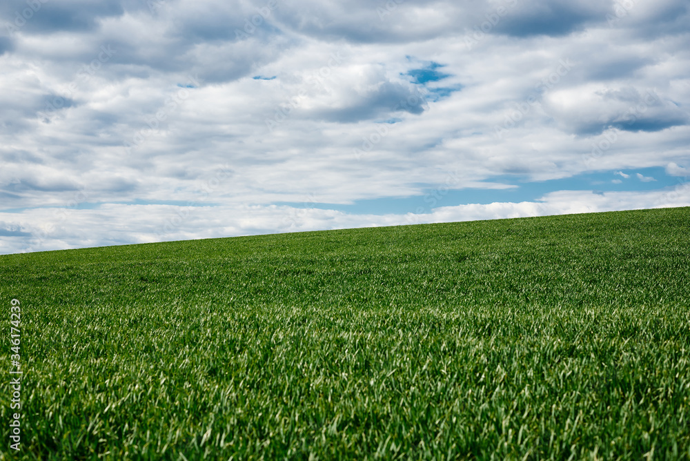 Beautiful field landscape. Countryside village rural natural background at sunny weather in spring summer. Green grass and blue sky with clouds. Nature protection concept. Beautiful field landscape. Countryside village rural natural background at sunny weather in spring summer. Green grass and blue sky with clouds. Nature protection concept.