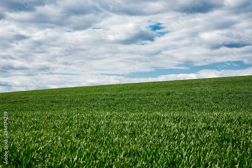 Beautiful field landscape. Countryside village rural natural background at sunny weather in spring summer. Green grass and blue sky with clouds. Nature protection concept.