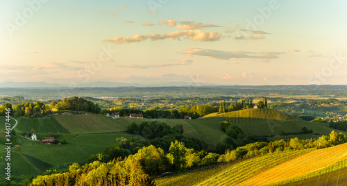 South styria vineyards landscape  near Gamlitz  Austria  Europe. Grape hills view from wine road in spring. Tourist destination  travel spot.