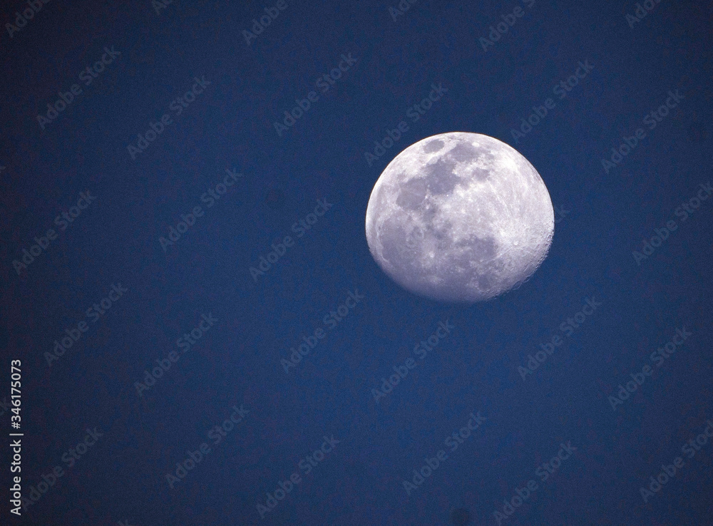 Full moon with grayish-white texture is high up in a dark blue sky. Full moon with grayish-white texture is high up in a dark blue sky.