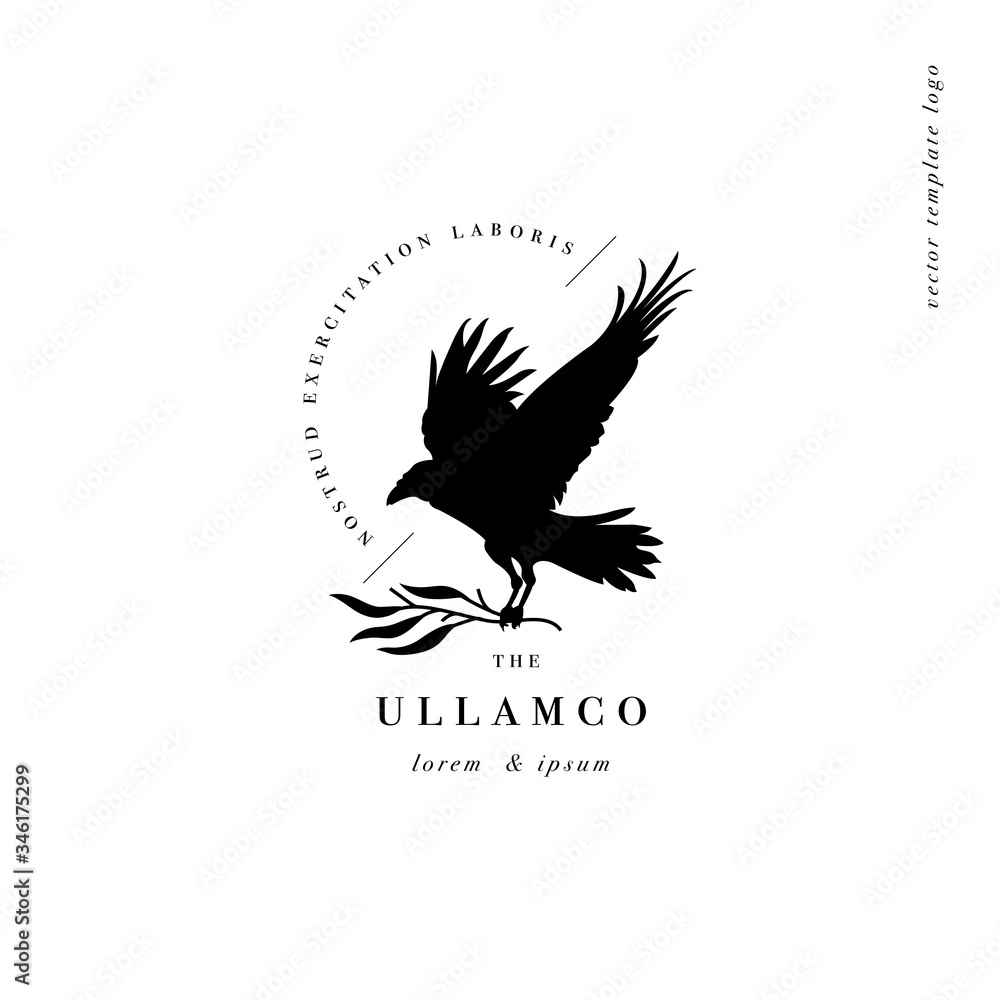 Fototapeta premium Vector design linear template logo or emblem - crow with branch. Template symbol for personal brand, psychology, astrology and esoteric.