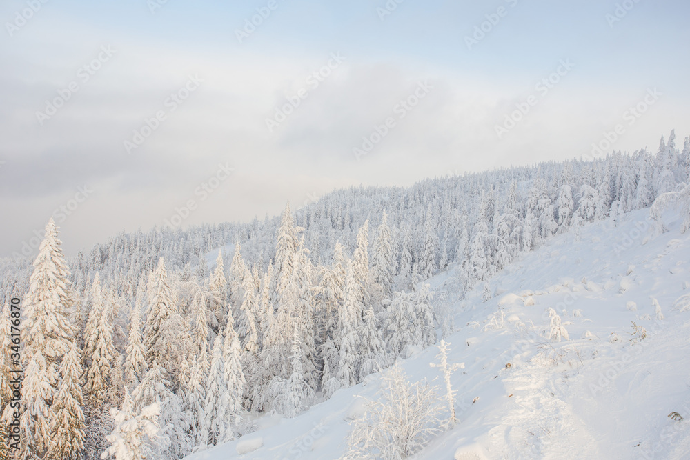 snow, winter, forest, nature, mountain, landscape, sky, cold, tree, blue, white, mountains, ski, alps, trees, ice, season, panorama, frost, peak, snowy, frozen, christmas, cloud, outdoor snow, winter, forest, nature, mountain, landscape, sky, cold, tree, blue, white, mountains, ski, alps, trees, ice, season, panorama, frost, peak, snowy, frozen, christmas, cloud, outdoor