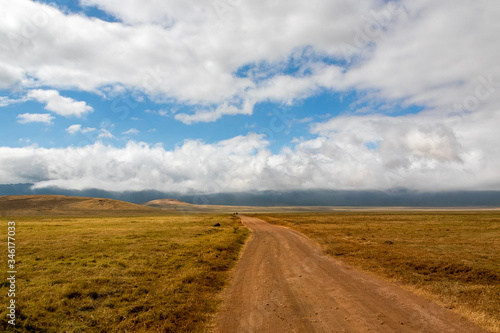 タンザニア・ンゴロンゴロの草原と青空・雲 © 和紀 神谷