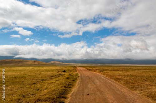 タンザニア・ンゴロンゴロの草原と青空・雲 © 和紀 神谷