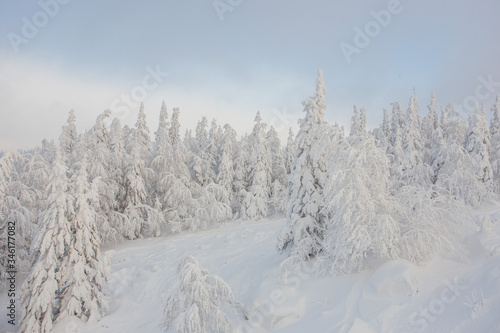 snow, winter, forest, nature, mountain, landscape, sky, cold, tree, blue, white, mountains, ski, alps, trees, ice, season, panorama, frost, peak, snowy, frozen, christmas, cloud, outdoor