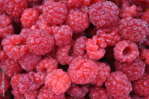 Red ripe fresh, sweet raspberries closeup
