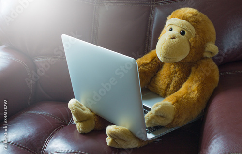 Plush monkey with a laptop on a leather chair close-up. The concept of online communication during the period of quarantine