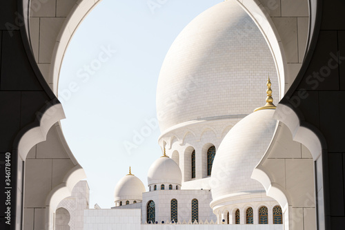 Stampa su tela Abu Dhabi Mosque