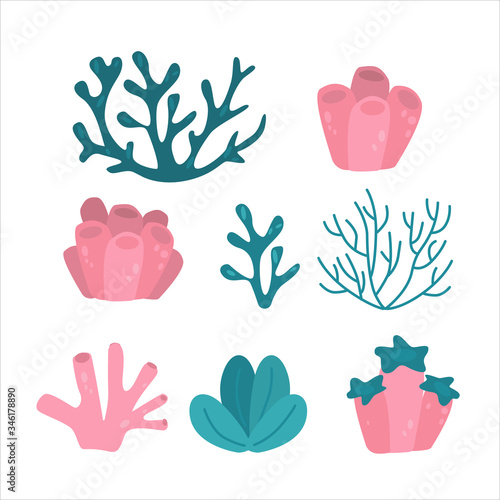 Collection of cute corals and sea weeds isolated on white background. Flat vector illustration.