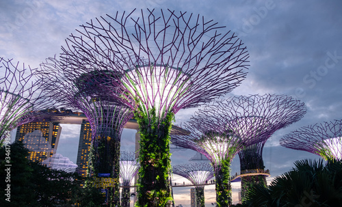 SINGAPORE-  Gardens by the Bay at dusk, a popular landscaped nature park with iconic 'supertrees' that shine at night