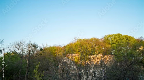 autumn in the forest