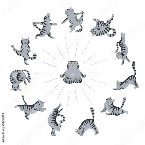 Cats yoga. Different yoga poses and exercises. Striped and tabby cat colors