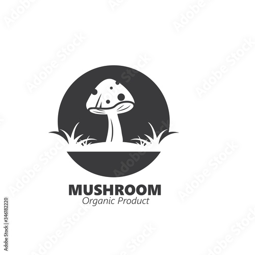 mushroom vector illustration icon design