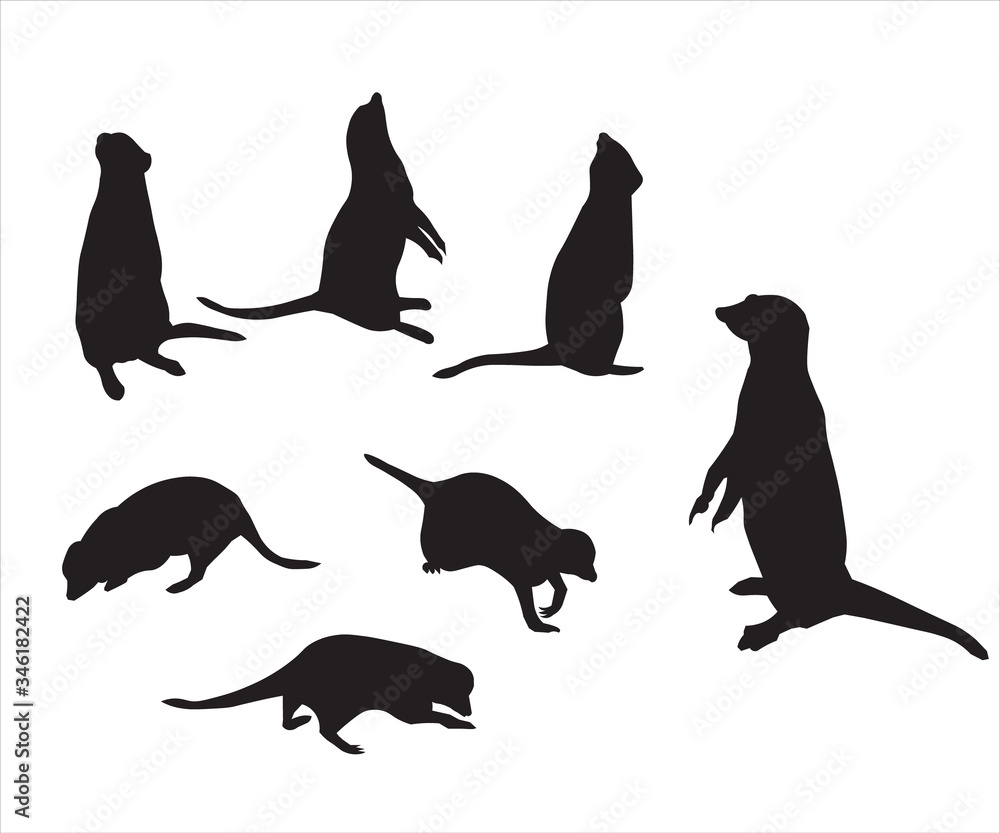 Vector set of a black silhouette meerkats. Illustration isolated on white background. Icon meerkat side view profile, full face, sitting, standing, crawling, looking, looking out.