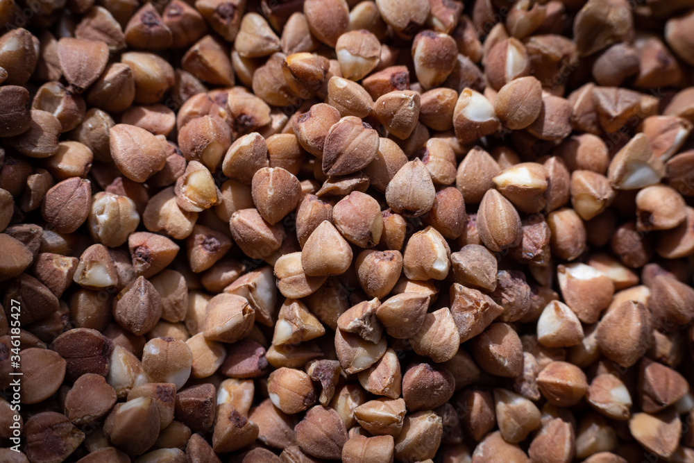 buckwheat buckwheat
