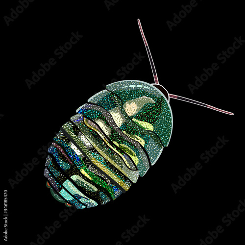 vector illustration of the cockroach Corydidarum magnifica. A rare and expensive insect
 Emerald roach. Bright green iridescent chitinous carapace. Beautiful exotic pet animal for the insectarium.


