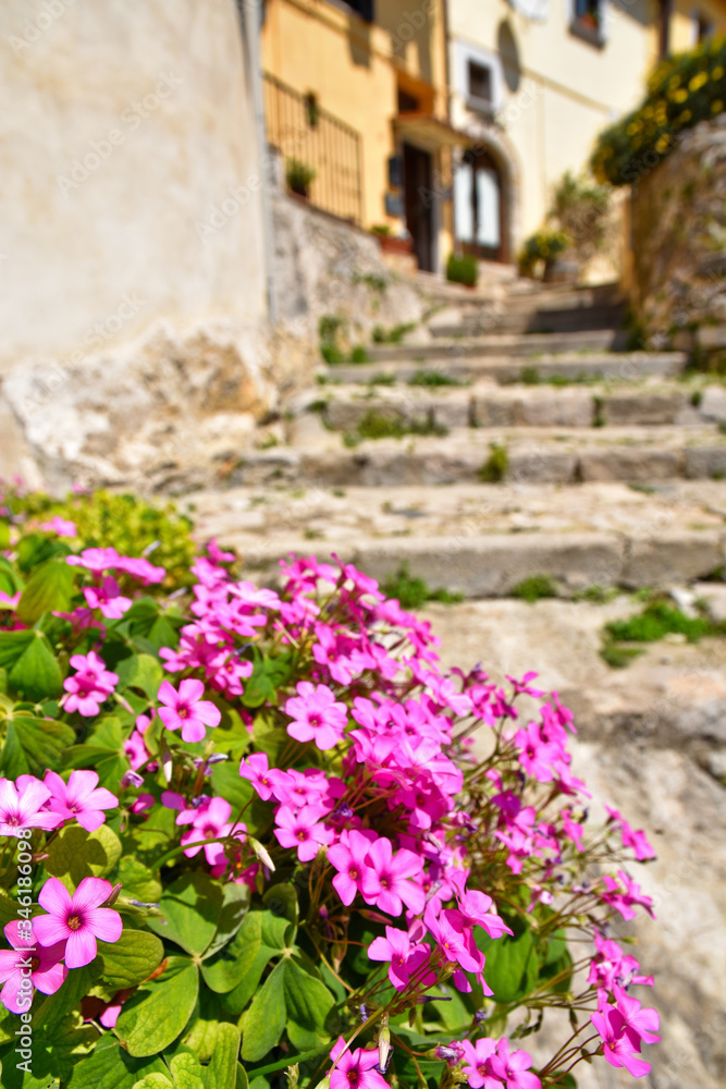 A narrow street in the medieval town of Itri, in the province of Latina