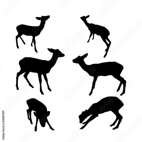 Baby deer collection.  Vector silhouette isolated on white background. 