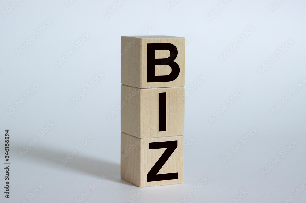 Wooden blocks with the inscription BIZ isolated on a white background. Clipping path included. Wooden blocks with the inscription BIZ isolated on a white background. Clipping path included.