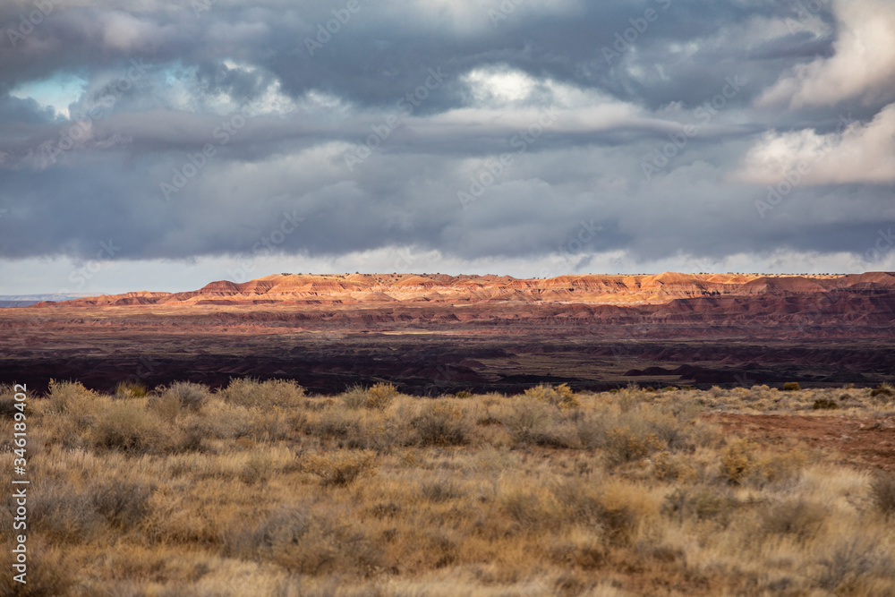 Petrified Forest in National Park in Arizona Petrified Forest in National Park in Arizona