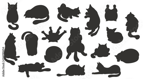 Sleeping cats poses. Flat color simple style design. Black silhouettes cats