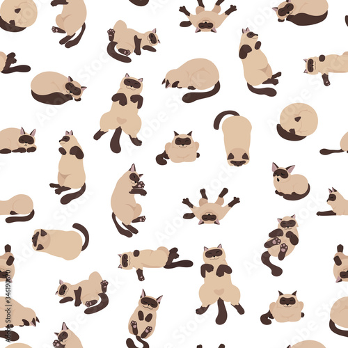 Sleeping cats poses seamless pattern. Flat color simple style design. Siamese colorpoint cats