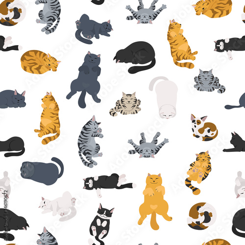 Sleeping cats poses seamless pattern. Flat different color simple style design
