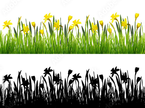 Spring border with fresh gr...