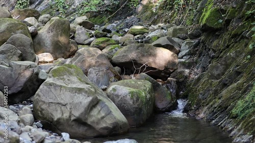 river between rocks in a green forest