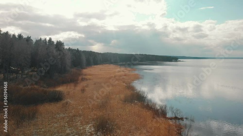 Wallpaper Mural Aerial view of a pine forest and lake Torontodigital.ca