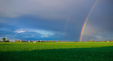 Summer rainbow landscape. Houses and field in the countryside in the background