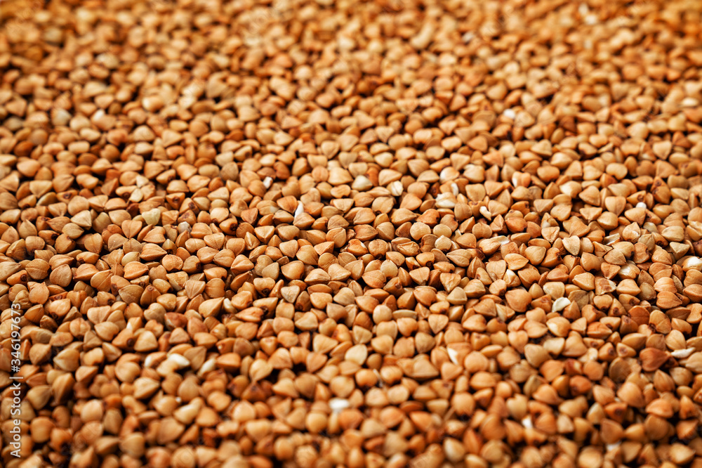 Buckwheat background texture Buckwheat background texture