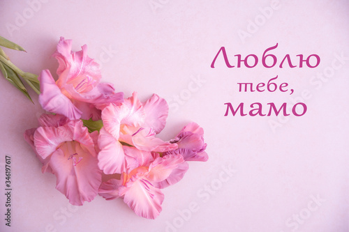 The text in Ukrainian, in English means "I love you, mom". Happy Mother's Day. Colorful gladioli on a pink background. Flowers on a blank surface, top view. Greeting card.