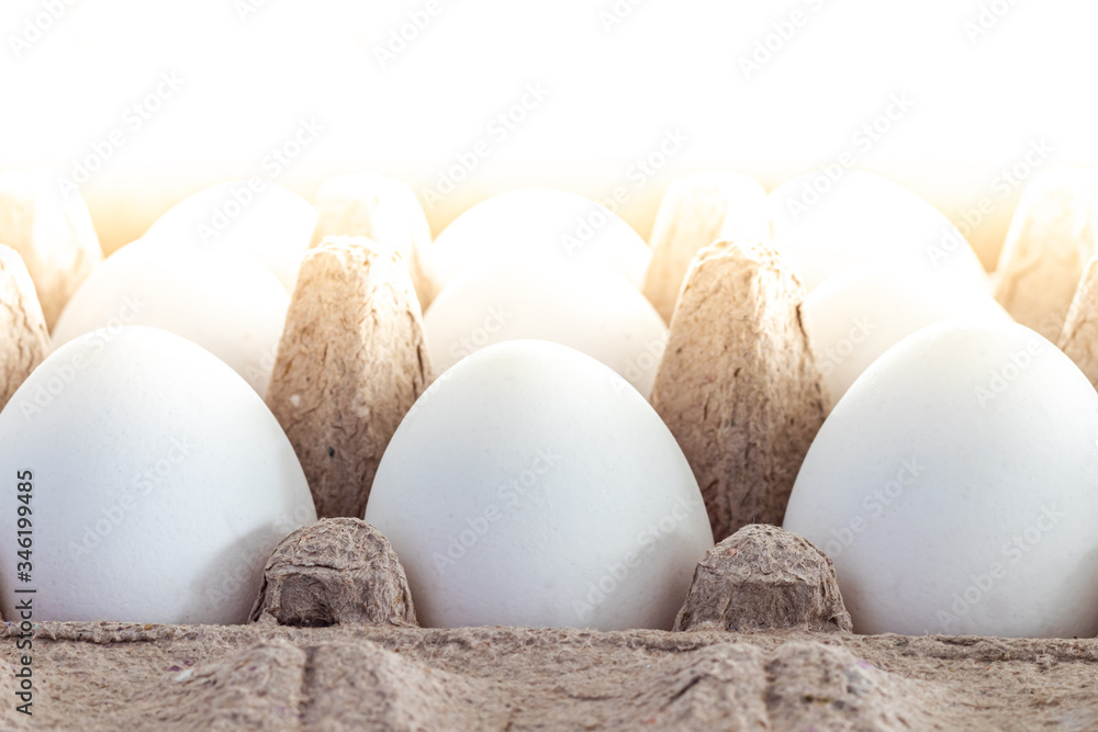 close up fresh white chicken eggs in carton front view with sunlight close up fresh white chicken eggs in carton front view with sunlight