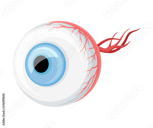 Donor Eye Organ with Optic Nerve for Transplantation Vector Illustration
