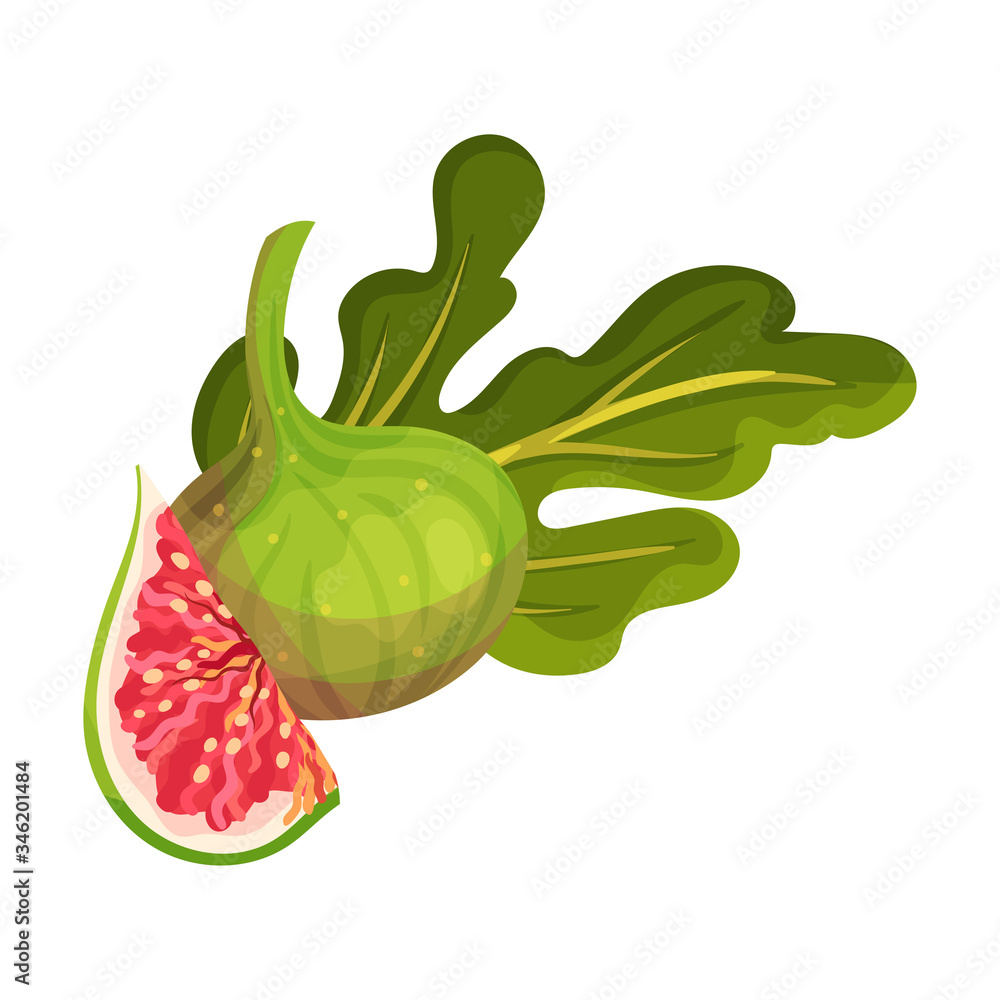 Whole Fig Fruit with Cutout Piece Showing Bright Flesh with Small Seeds  Inside Vector Illustration Stock Vector | Adobe Stock