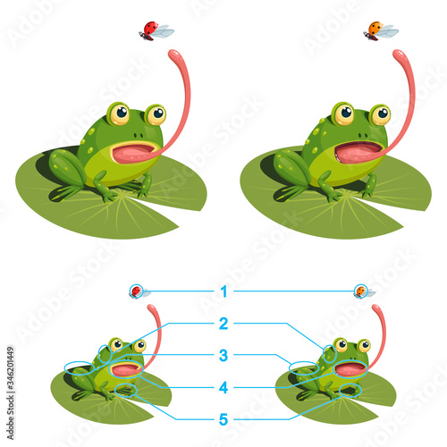The frog is trying to catch a ladybug with its tongue. Find the five differences between the two pictures. Children's game picture is a riddle with a solution below.