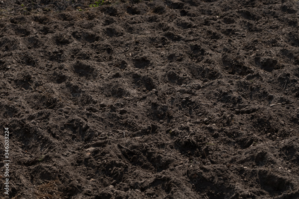 dug holes in the garden for planting potatoes and other vegetables dug holes in the garden for planting potatoes and other vegetables