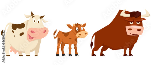 Cow family in cartoon style. Farm animals of different sex and age.