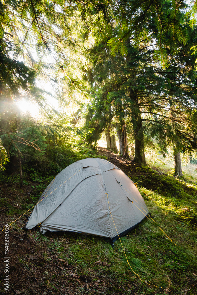 Grey tent in campside in wild summer forest