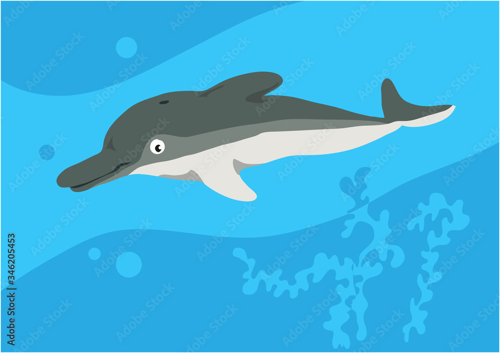 Vector image of fish dolphin on blue background with silhouette of waves and algae. Gift card for collecting for children. Vector image of fish dolphin on blue background with silhouette of waves and algae. Gift card for collecting for children.
