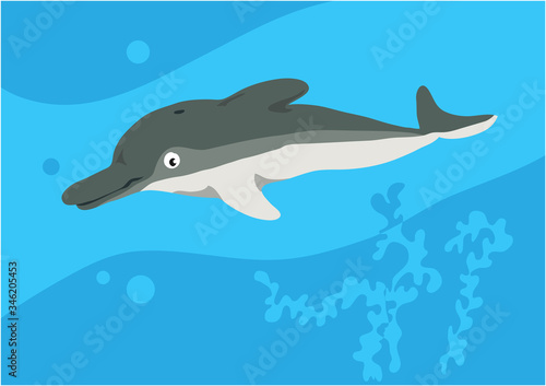 Vector image of fish dolphin on blue background with silhouette of waves and algae. Gift card for collecting for children.