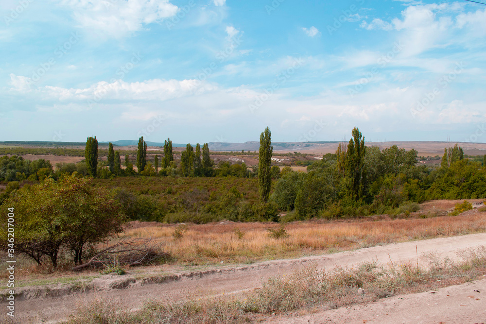 View of the summer landscape in the Crimea. Fields, pyramidal poplars and blue sky with clouds.